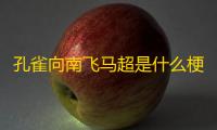 孔雀向南飞马超是什么梗
